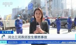 德国记者爆料视频大全最新,最新爆料视频大全震撼来袭！